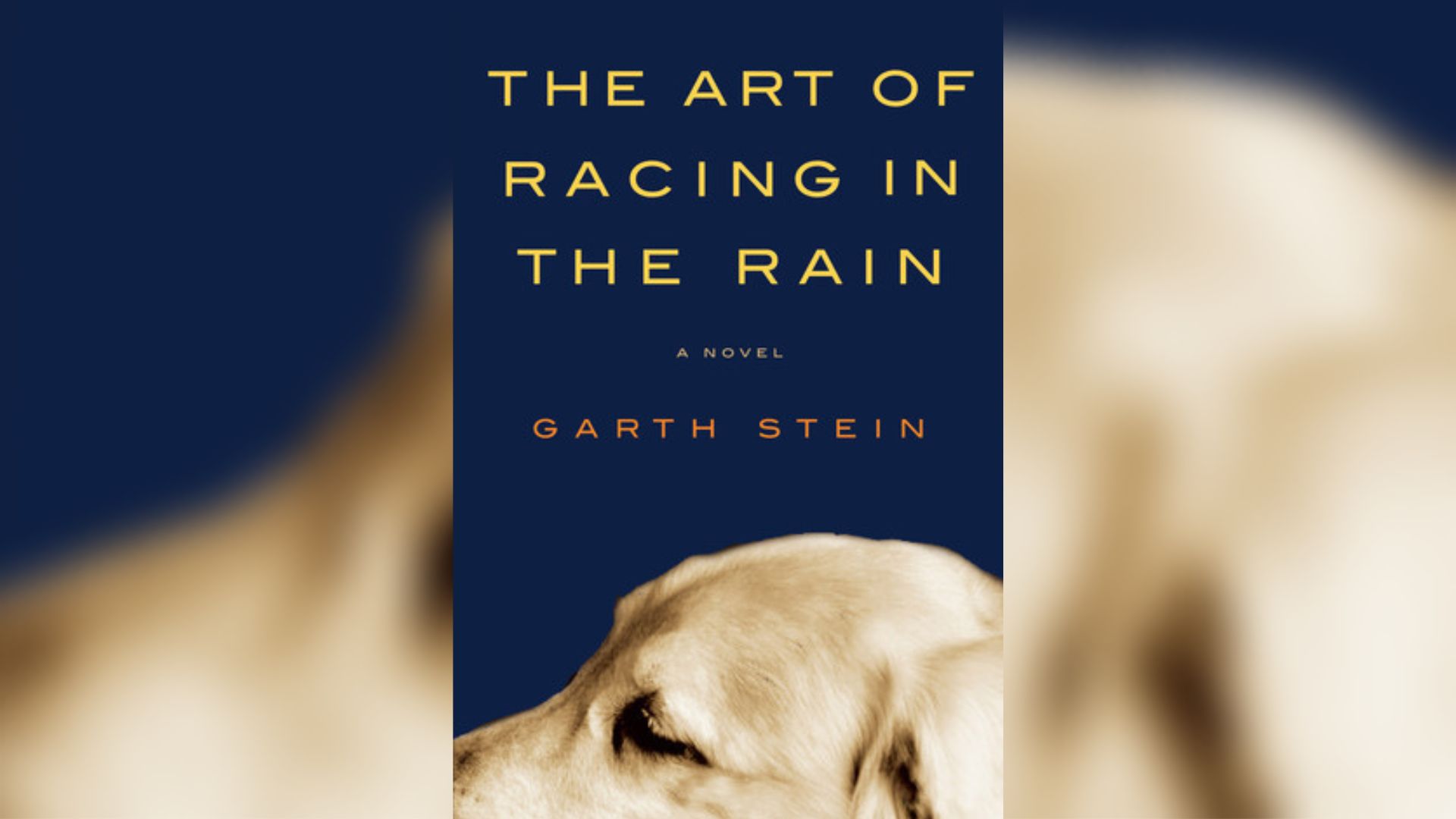 The Art of Racing in the Rain Book Review